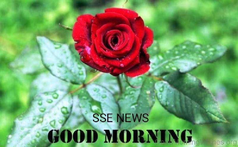 शुभ प्रभात :