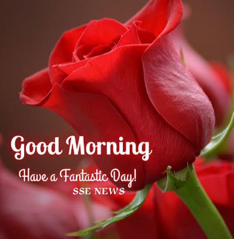 शुभ प्रभात :