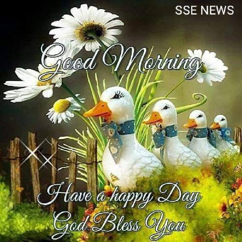 शुभ प्रभात :