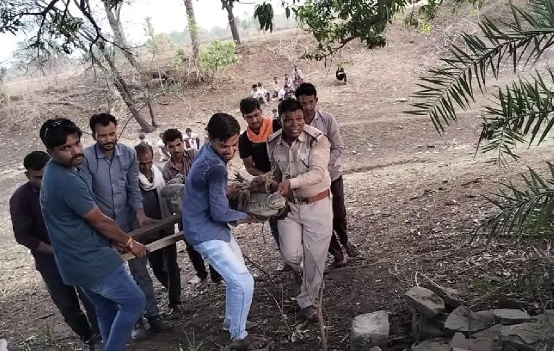 शहर: