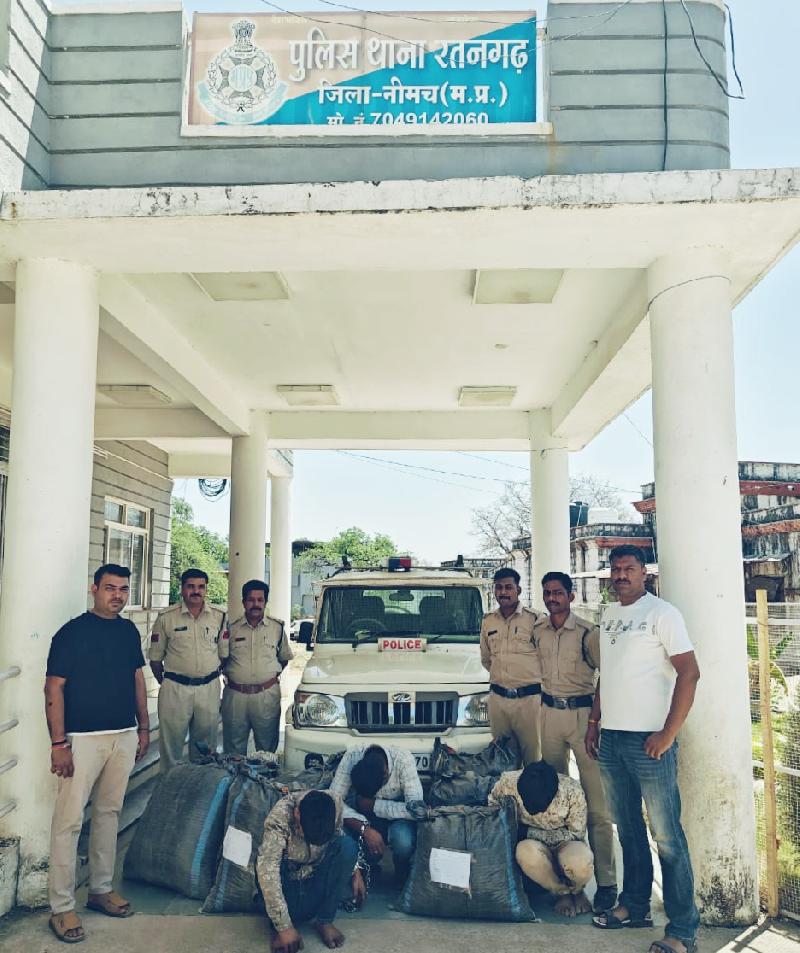 नीमच जिले में नशे पर बड़ी कार्यवाही: