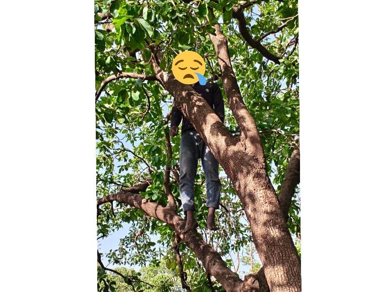 शहर: