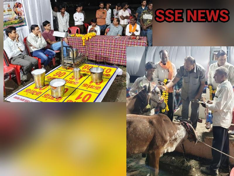 शहर:
